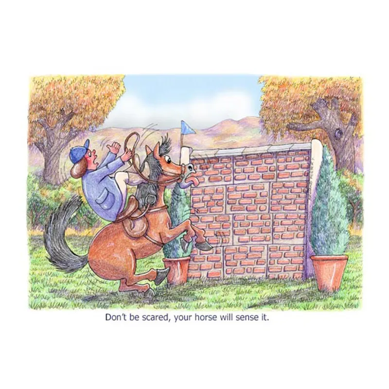 Elico Horse and Pony Greetings Card-3