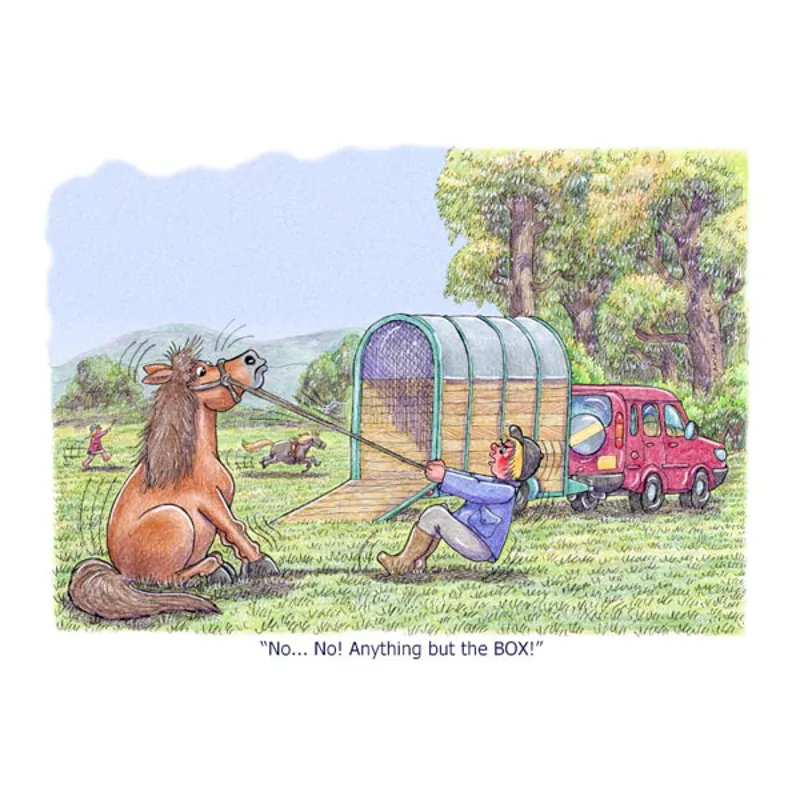 Elico Horse and Pony Greetings Card-4