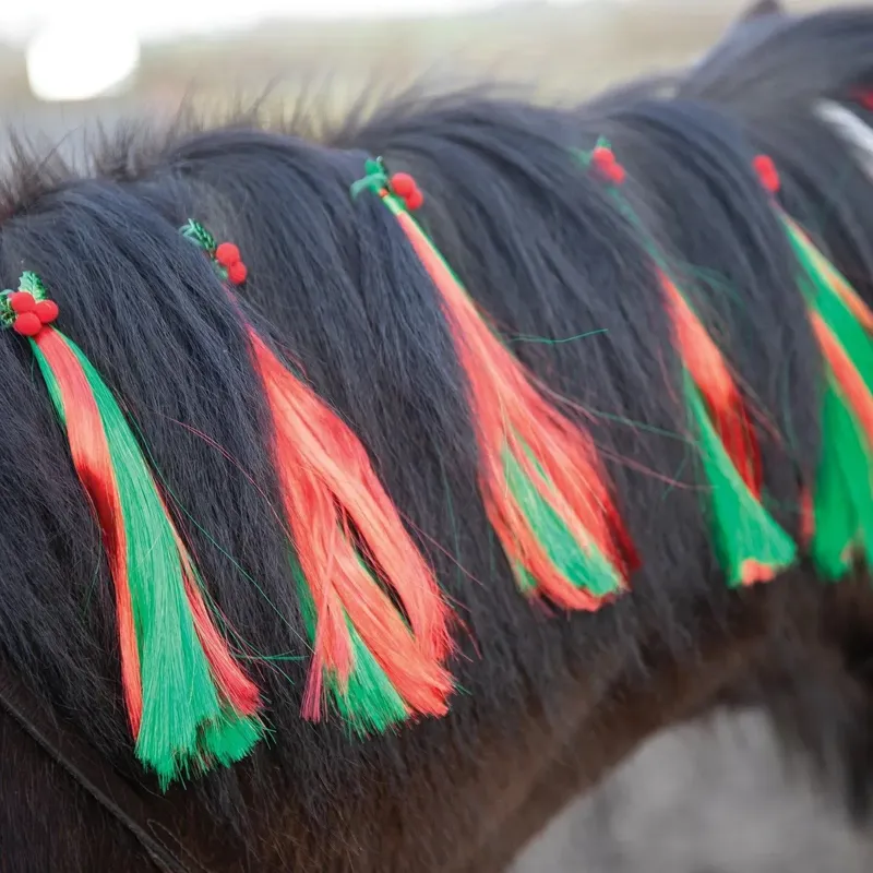 Equetech Christmas Holly Festive Horse Mane Tassels 5 Pack - Green-1