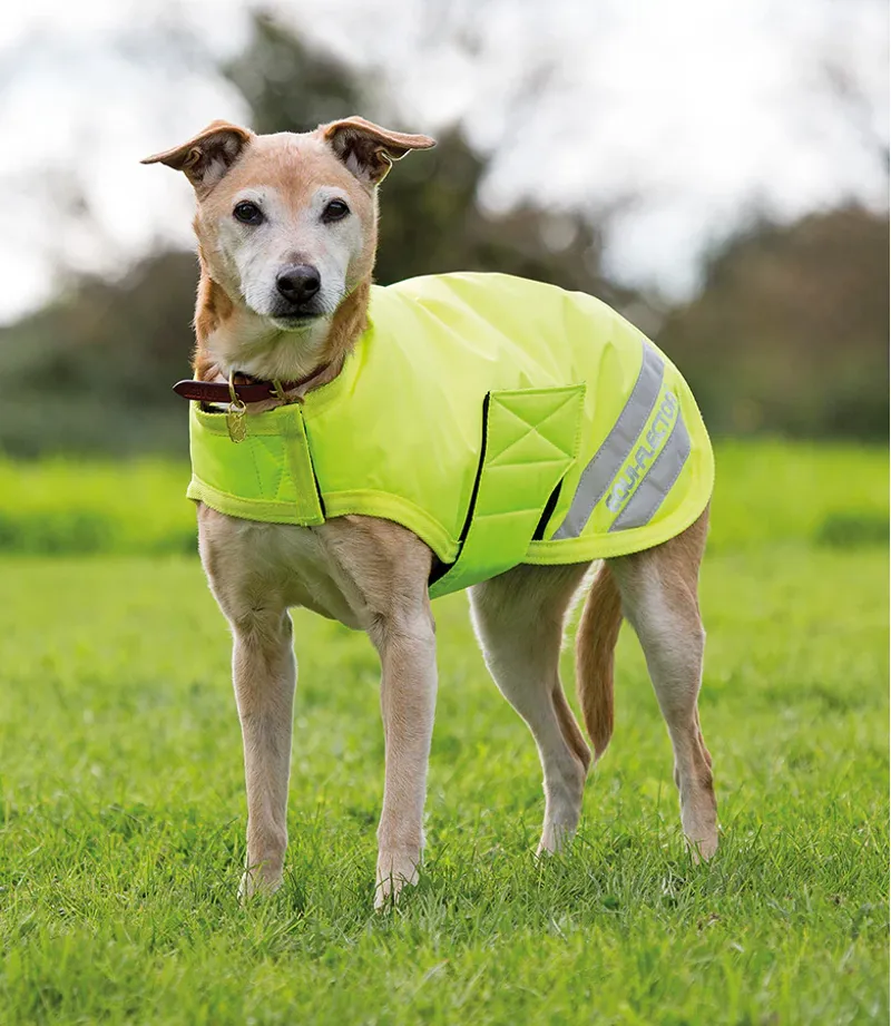 EQUI-FLECTOR Dog Coat in Yellow - WEB EXCLUSIVE