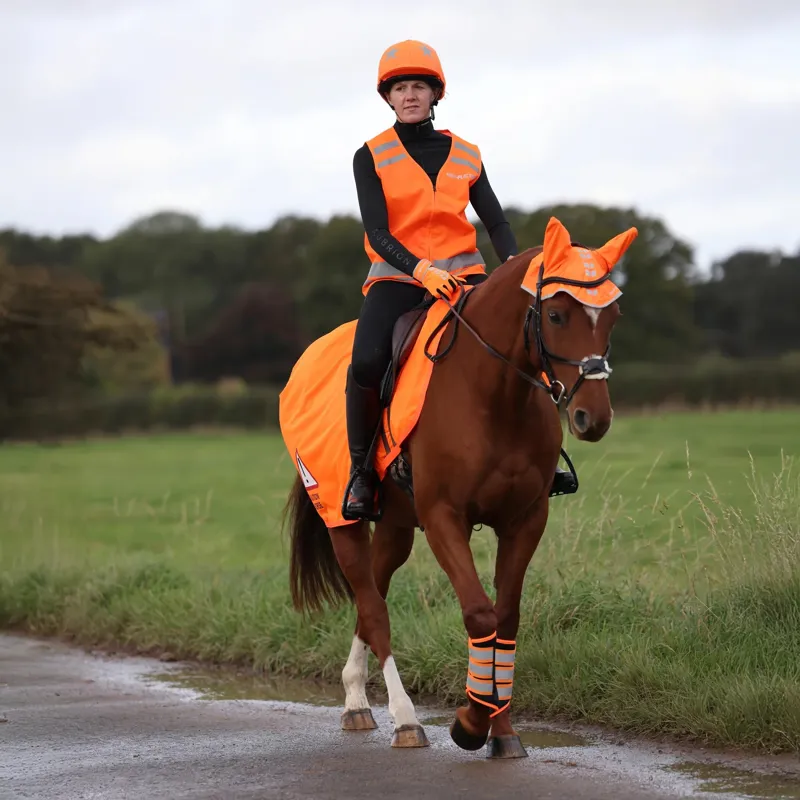 Equi-Flector Mesh Exercise Sheet - Orange-1