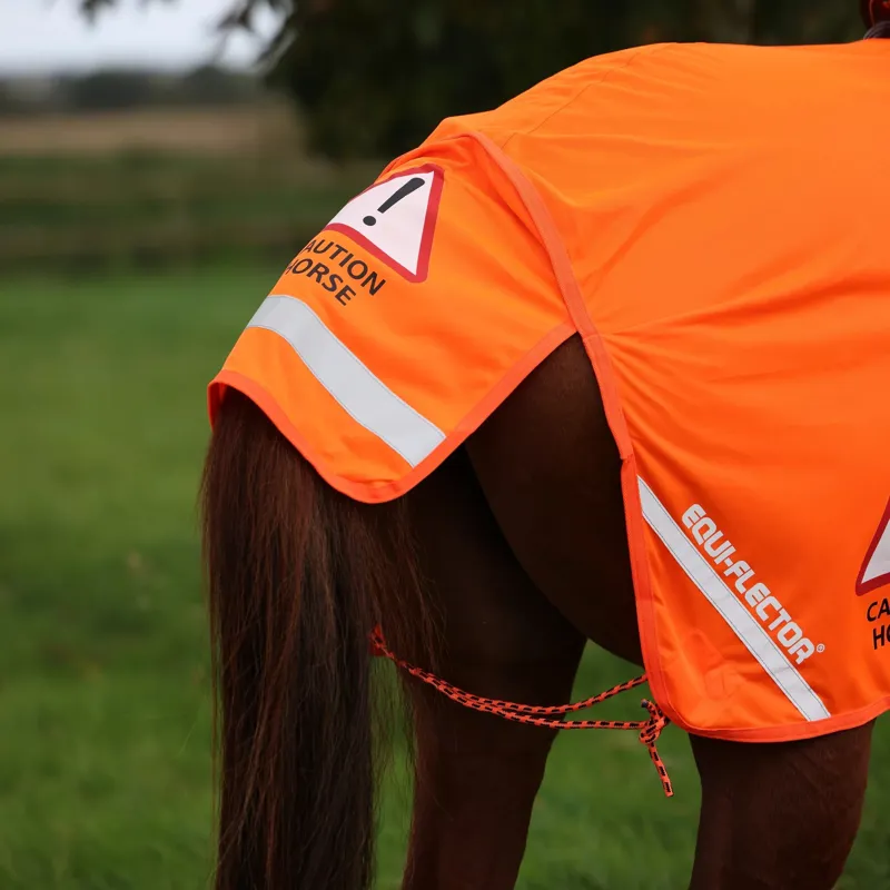 Equi-Flector Mesh Exercise Sheet - Orange-3