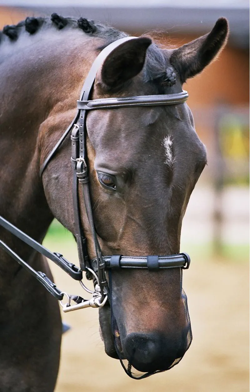 Equilibrium Net Relief Muzzle Net in Black