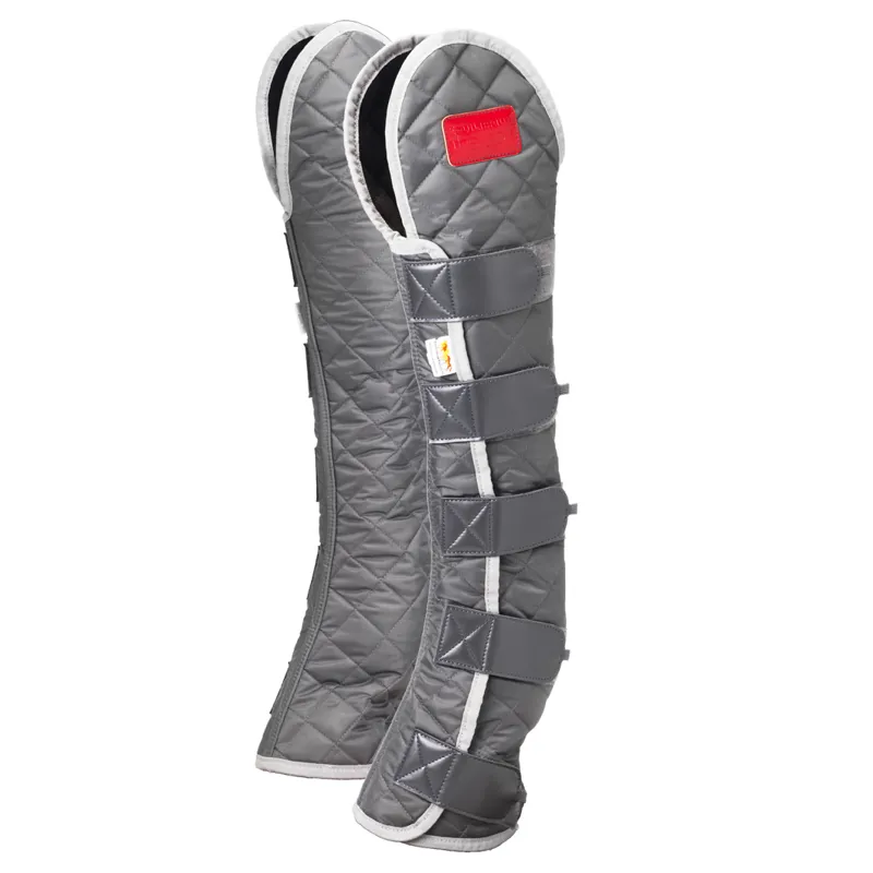 Equilibrium Hind and Hock Magnetic Chaps in Grey