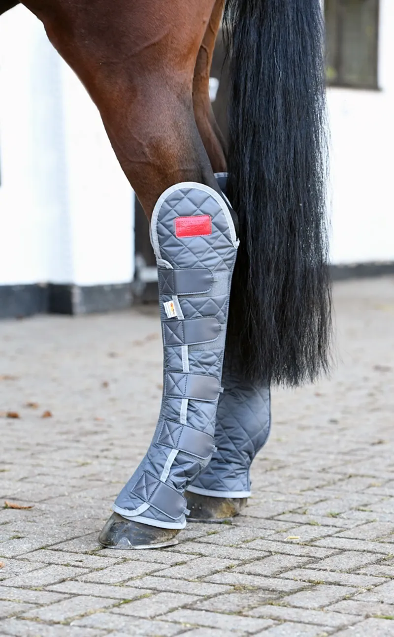 Equilibrium Hind and Hock Magnetic Chaps in Grey-3