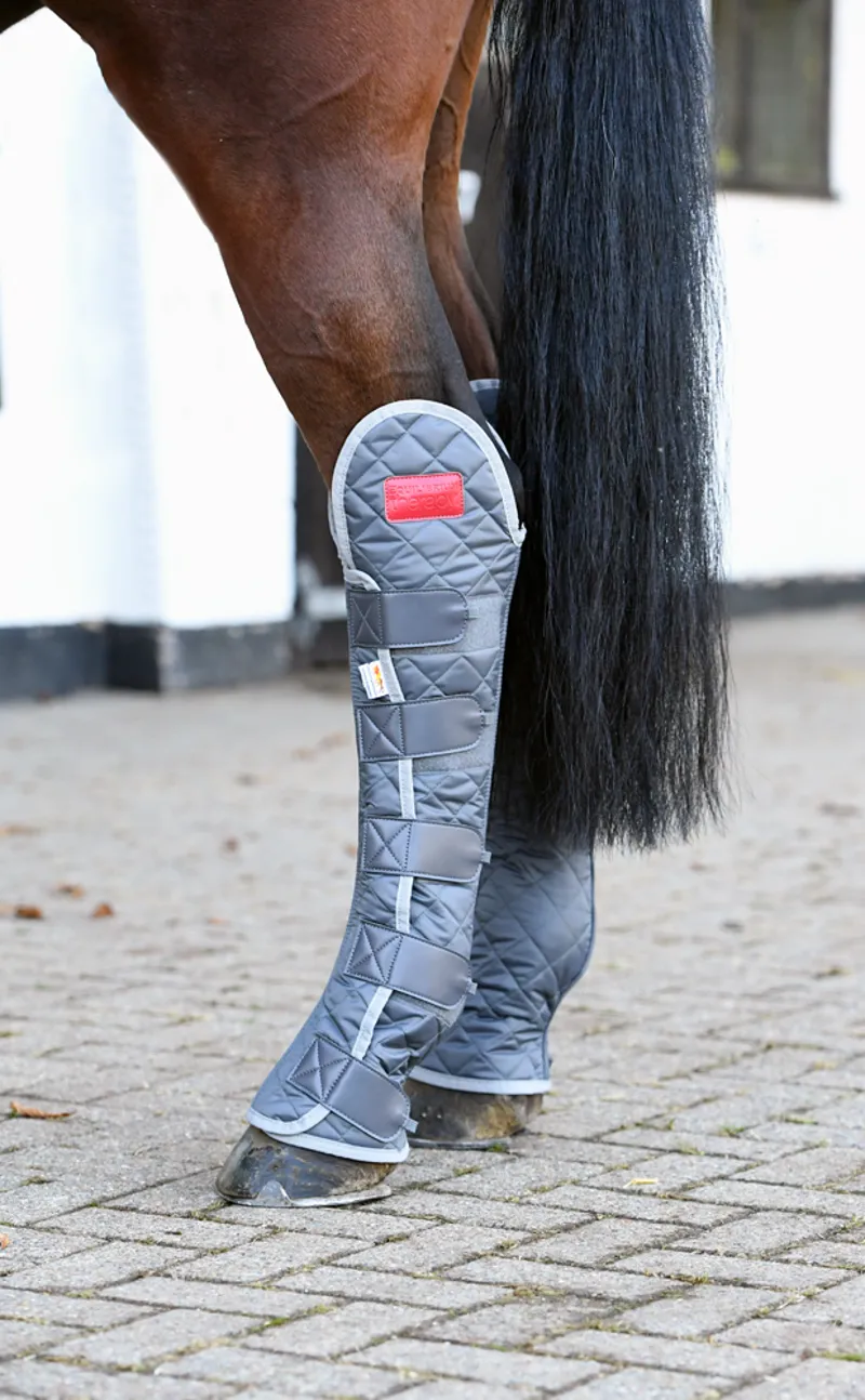 Equilibrium Hind and Hock Magnetic Chaps in Grey-2