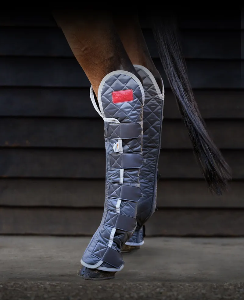 Equilibrium Hind and Hock Magnetic Chaps in Grey-2