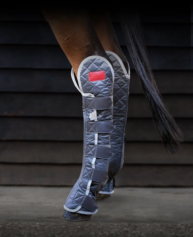 Equilibrium Hind and Hock Magnetic Chaps in Grey-1