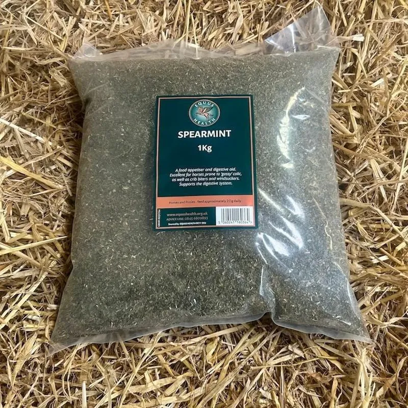Equus Health Spearmint