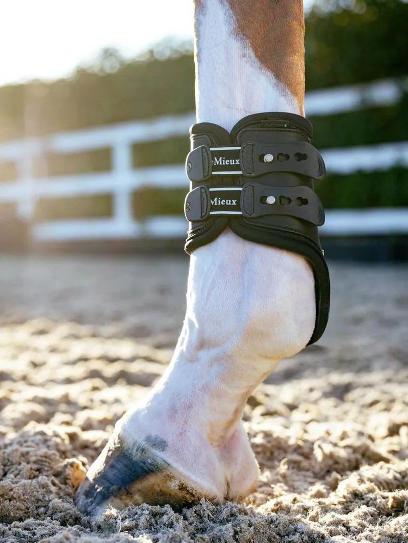LeMieux Exo-Flex Fetlock Boot in Black and Silver-3