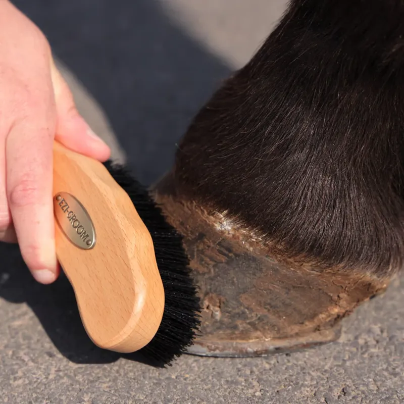 Shires EZI-GROOM Premium Hoof Brush-2