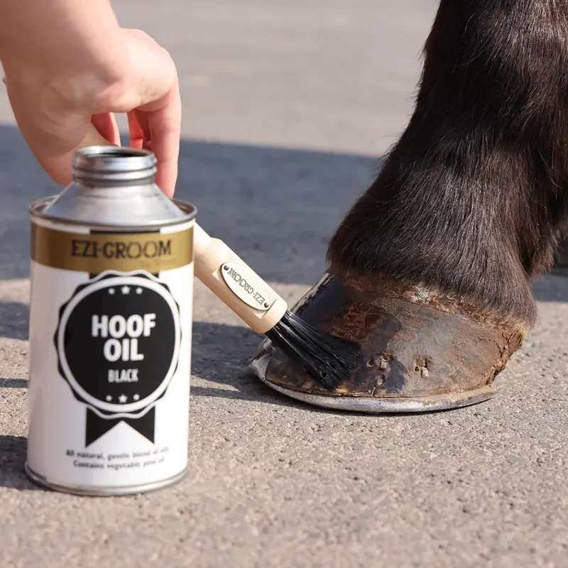 Shires EZI-GROOM Premium Hoof Oil Brush-1