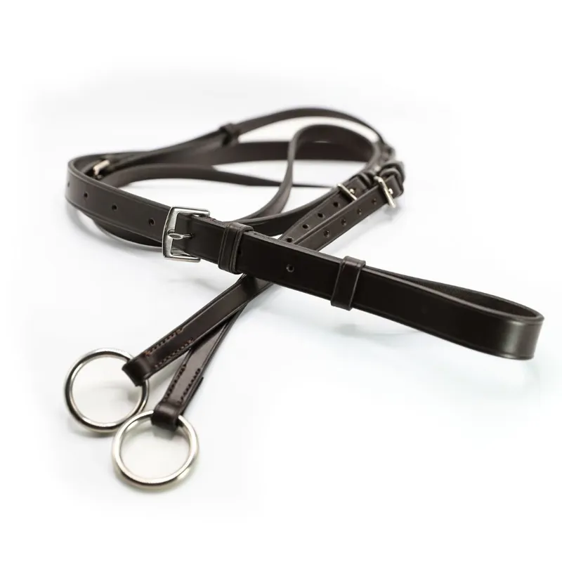 Fairfax Martingale in Brown-7