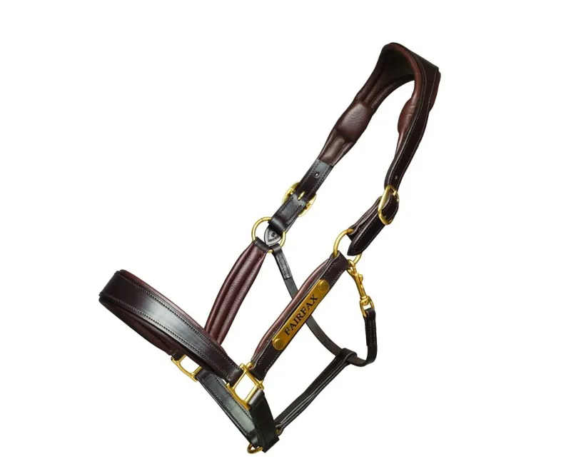 Fairfax Rio Headcollar in Black-4