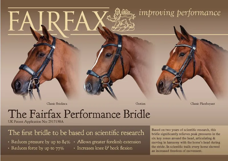Fairfax Performance Bridle-2