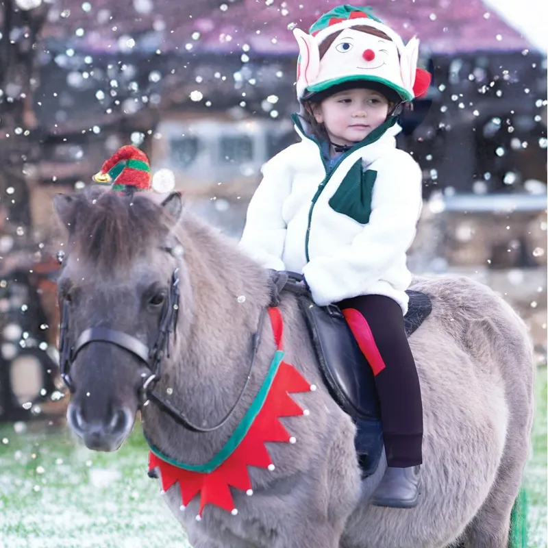 Equetech Festive Horse Christmas Breastplate - Red and Green-1
