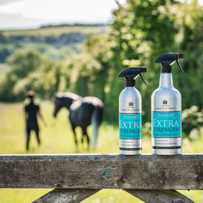 Carr and Day and Martin Flygard Extra Strength - WEB EXCLUSIVE-2