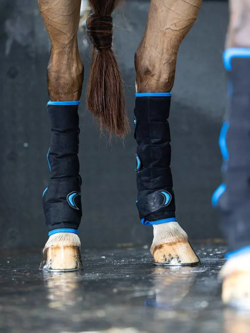 LeMieux Freeze Flow Ice Boot Hind in Black-1