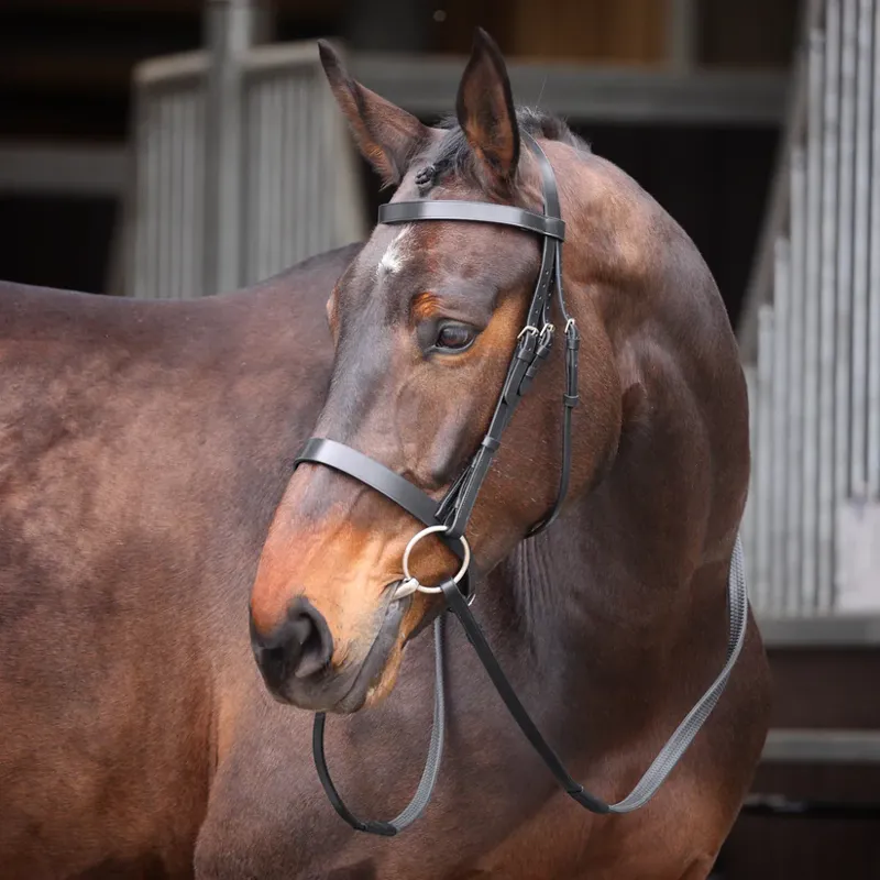 Velociti GARA Plain Bridle in Black