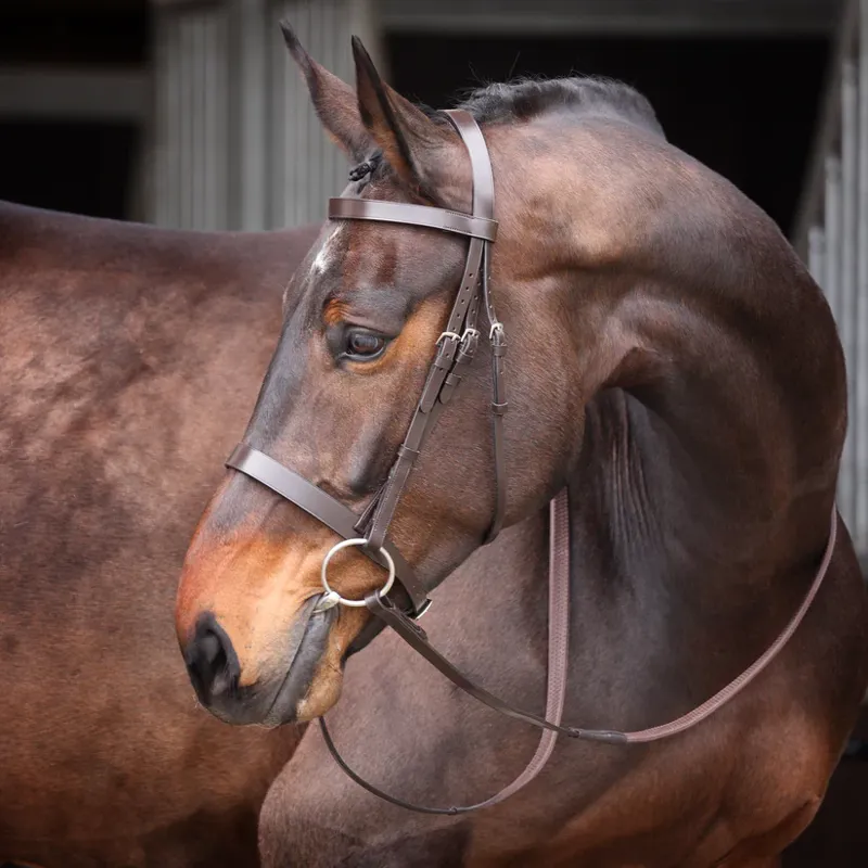 Velociti GARA Plain Bridle in Havana