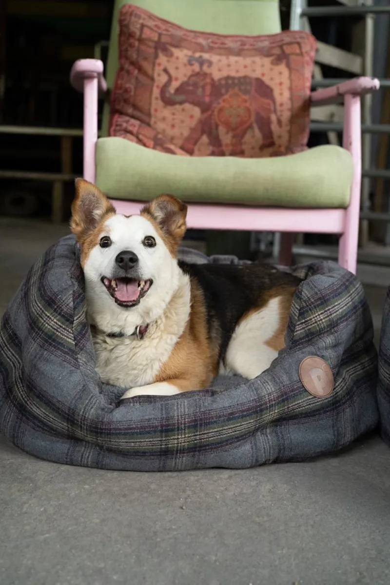 Petface Grey Tweed Oval Dog Bed-4