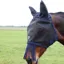 Hy Equestrian Mesh Half Mask With Fringe in Black/Navy - WEB EXCLUSIVE