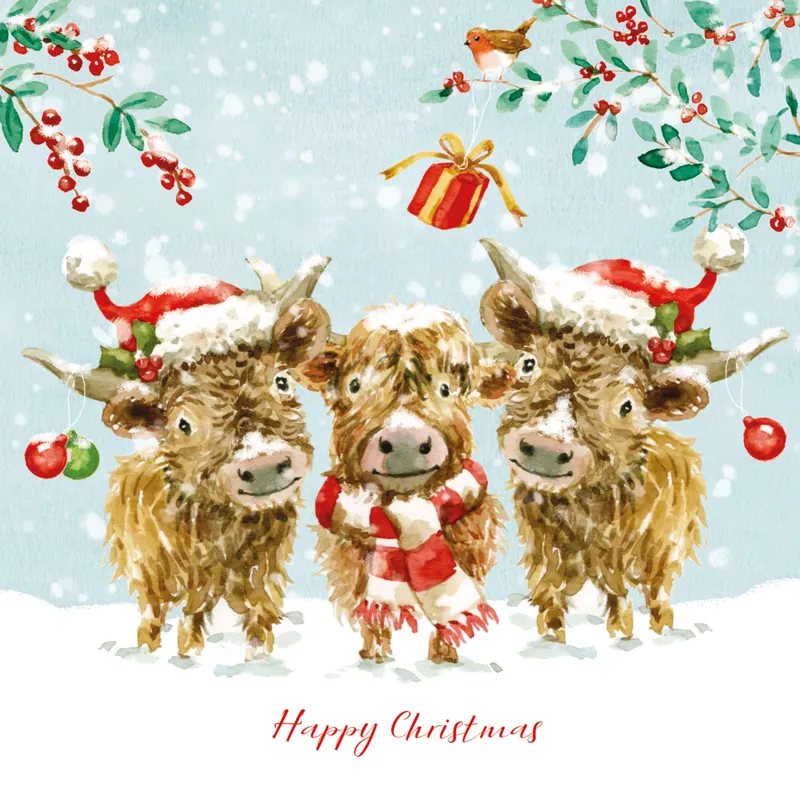Highland Cows Christmas Cards