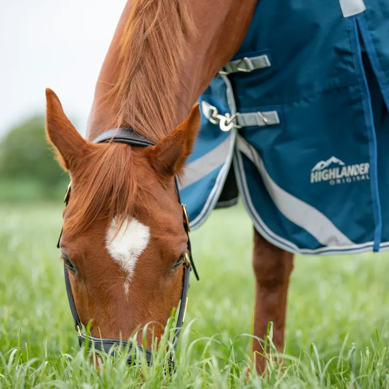 Shires Highlander Turnout Rug and Neck Set 50g in Ocean-6