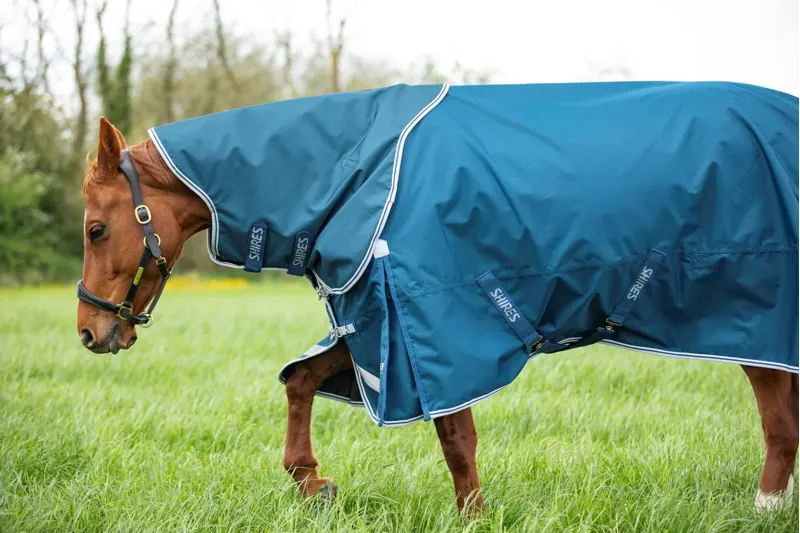 Shires Highlander Turnout Rug and Neck Set 50g in Ocean-3