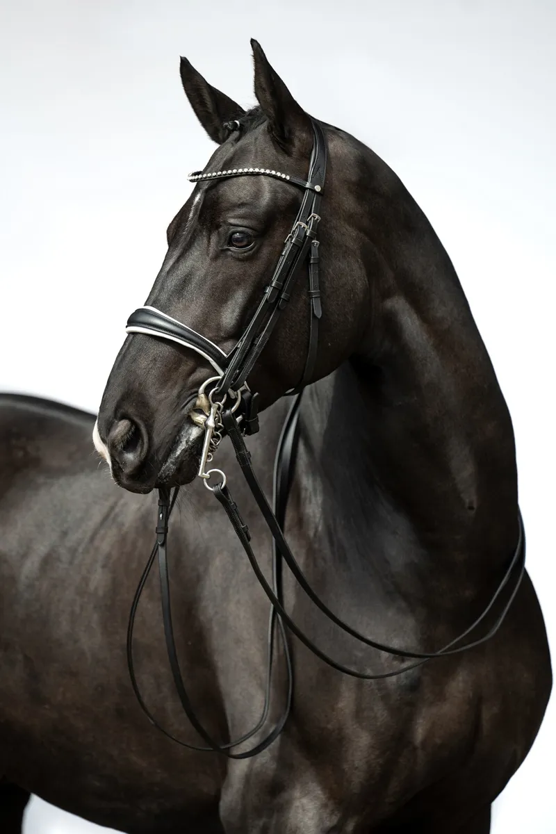 HKM Dina Double Bridle in Black-2