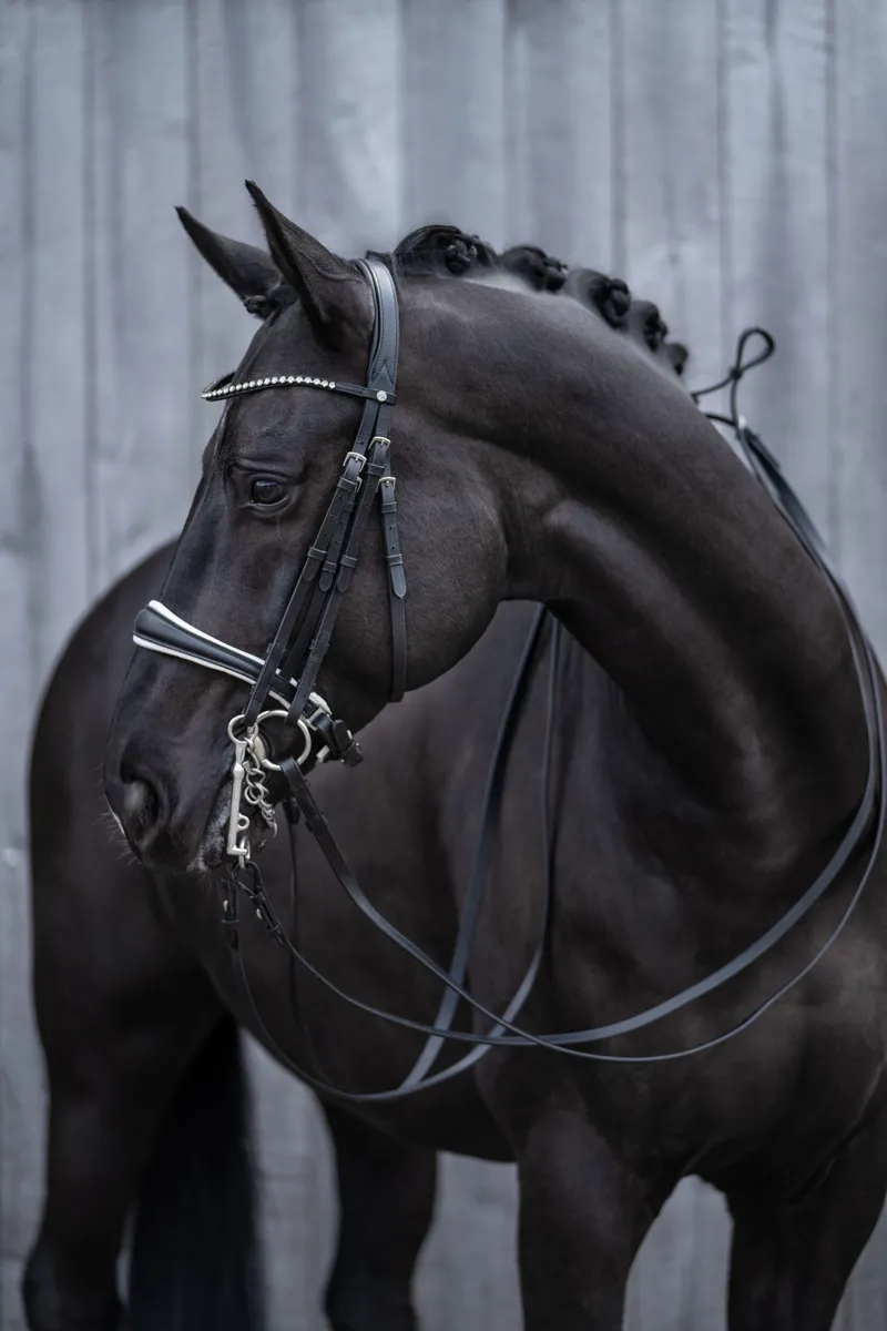 HKM Dina Double Bridle in Black-3