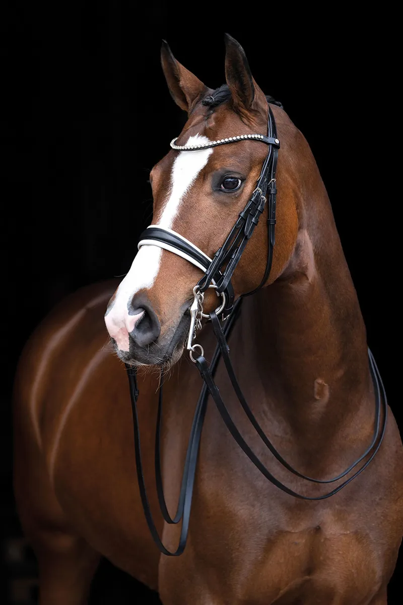 HKM Dina Double Bridle in Black