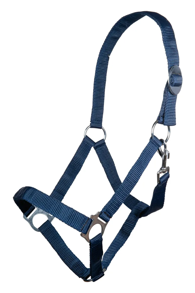 HKM Economy Stars Headcollar in Navy