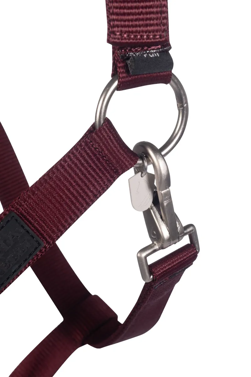 HKM Livigno Headcollar in Bordeaux-2