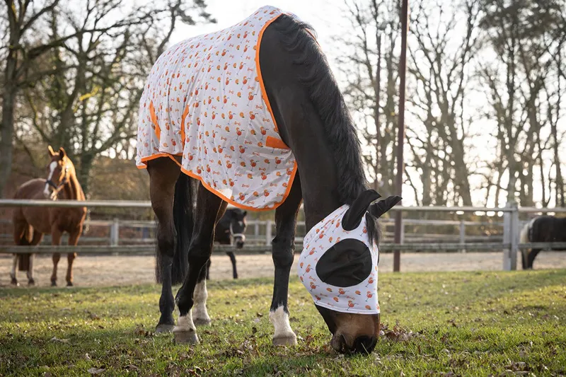 HKM Splash Fly Rug in Orange-1