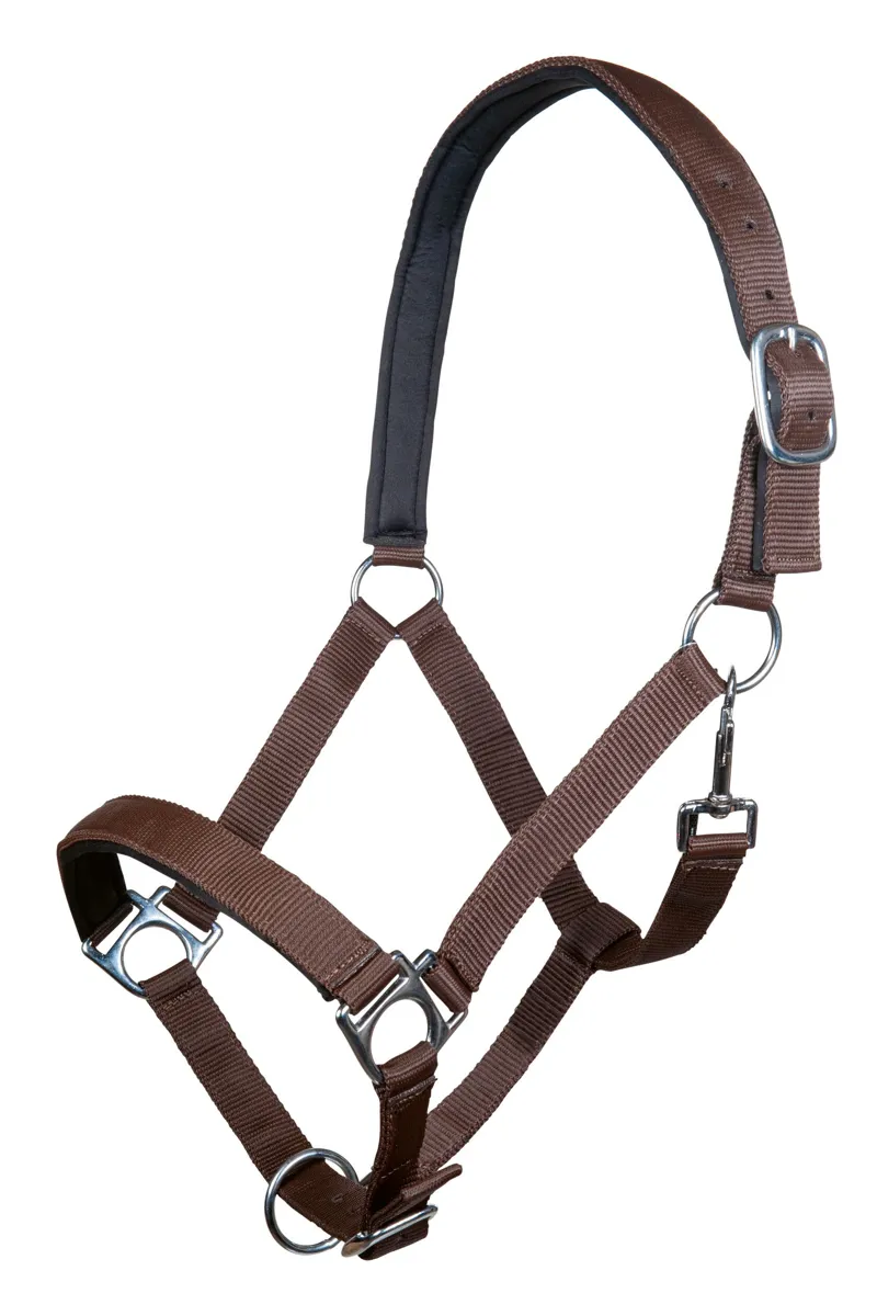 HKM Stars Headcollar with Soft Padding in Dark Brown