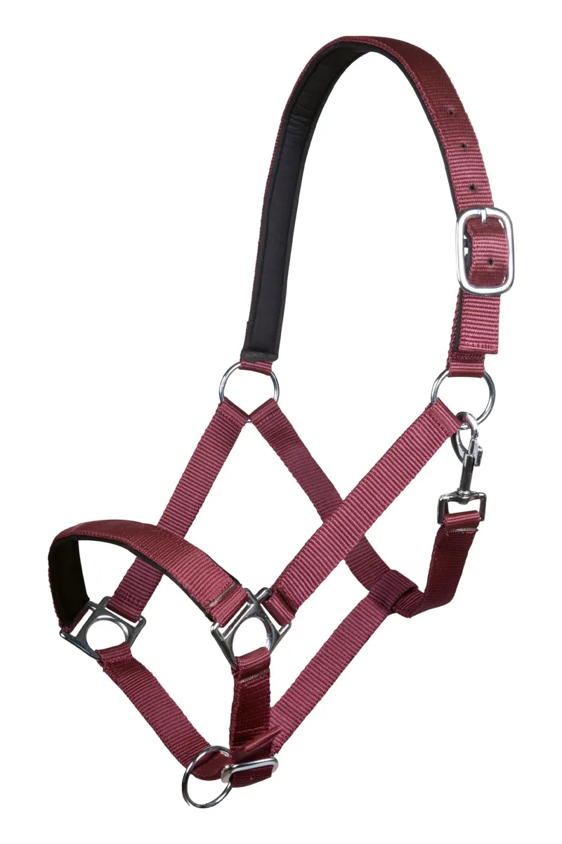 HKM Stars Headcollar with Soft Padding in Dark Red