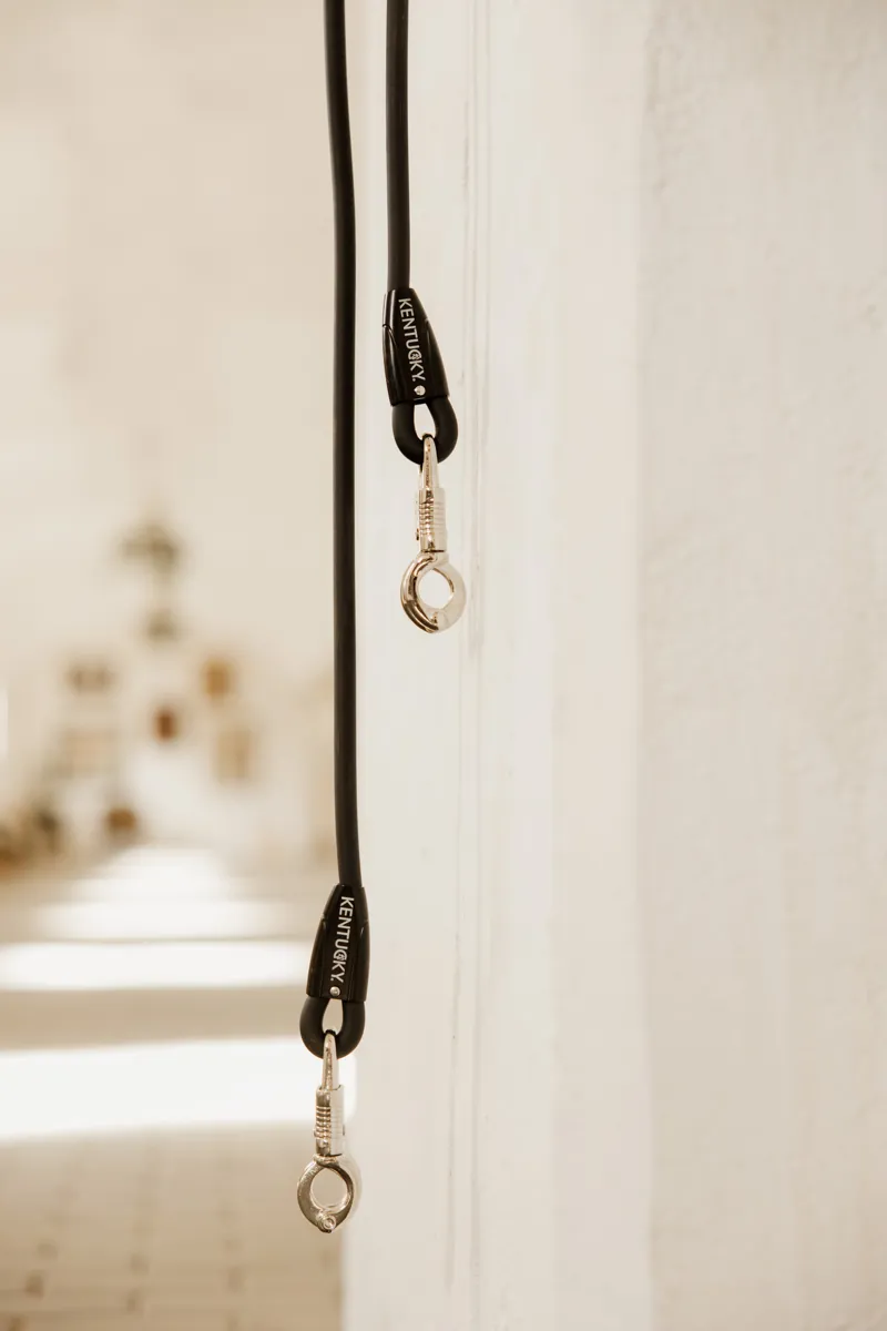 Kentucky Horse Box Lead and Cross Tie Silicone in Black-1