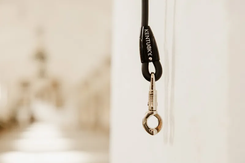 Kentucky Horse Box Lead and Cross Tie Silicone in Black-2