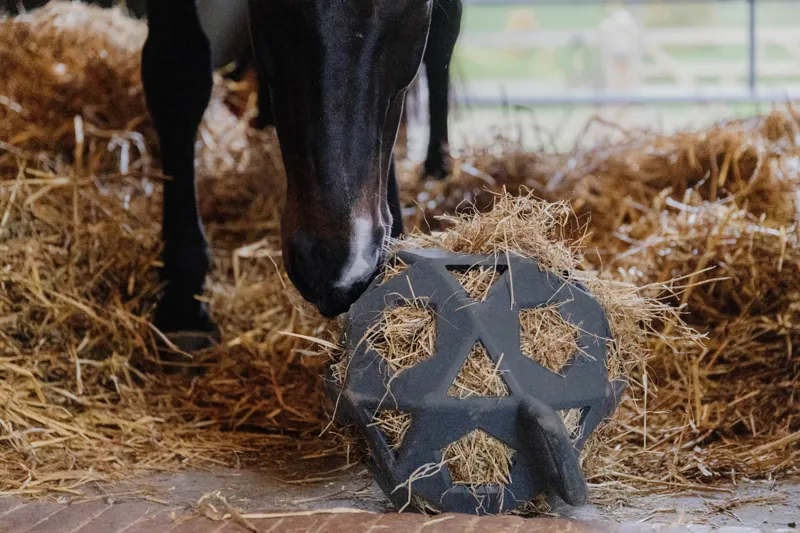 Kentucky Relax Horse Play and Hay Ball in Grey-1