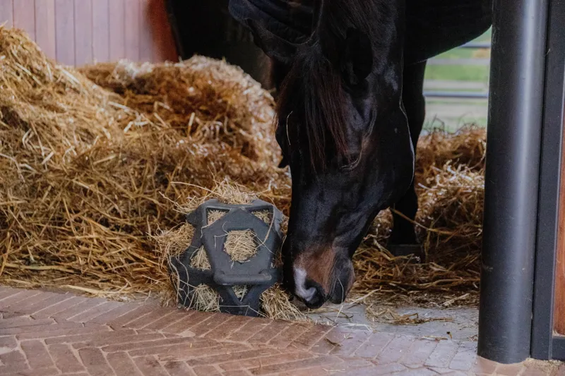 Kentucky Relax Horse Play and Hay Ball in Grey-3