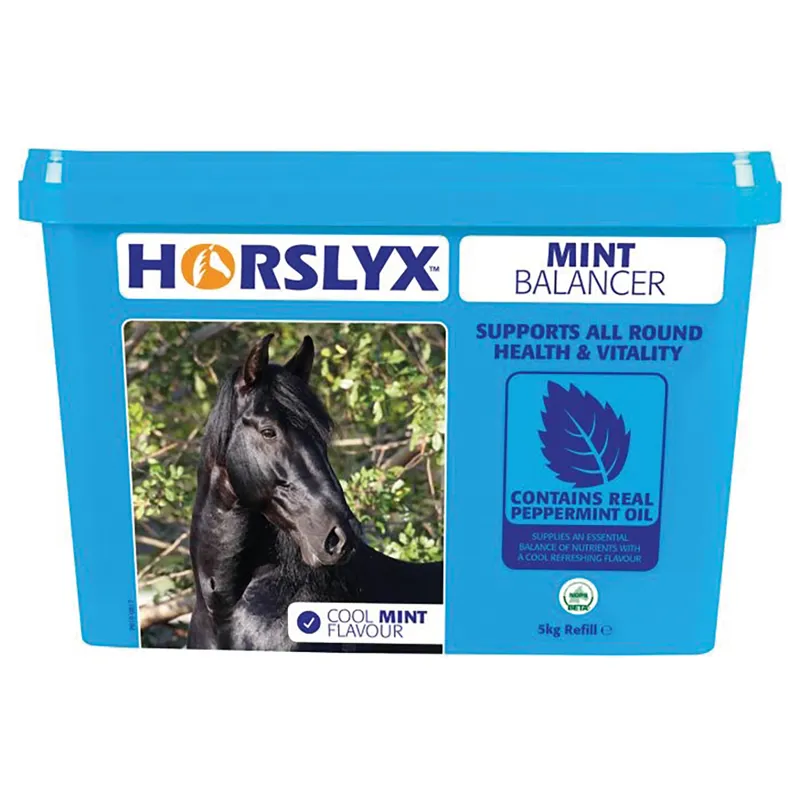 Horslyx Mint Balancer Lick 5kg