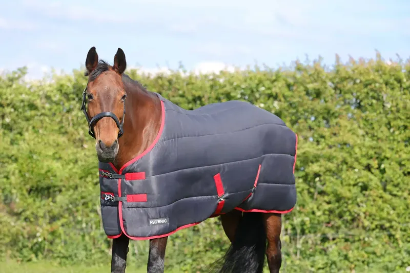 Hy Equestrian HyCONIC 250g Stable Rug - Charcoal and Red-1