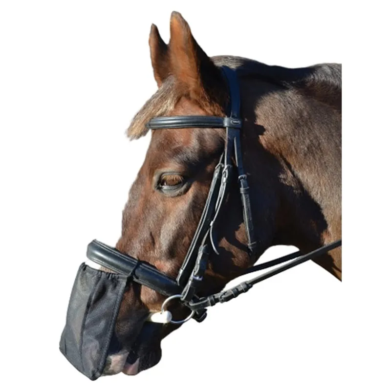 Hy Equestrian Nose Shield - Black