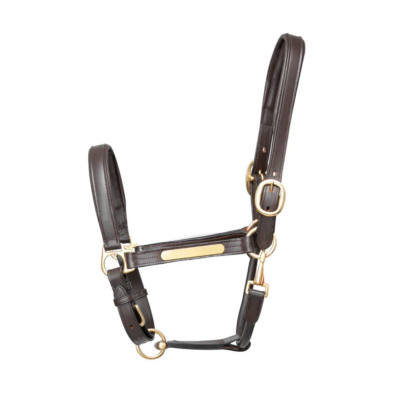 Hy Equestrian Leather Headcollar in Brown