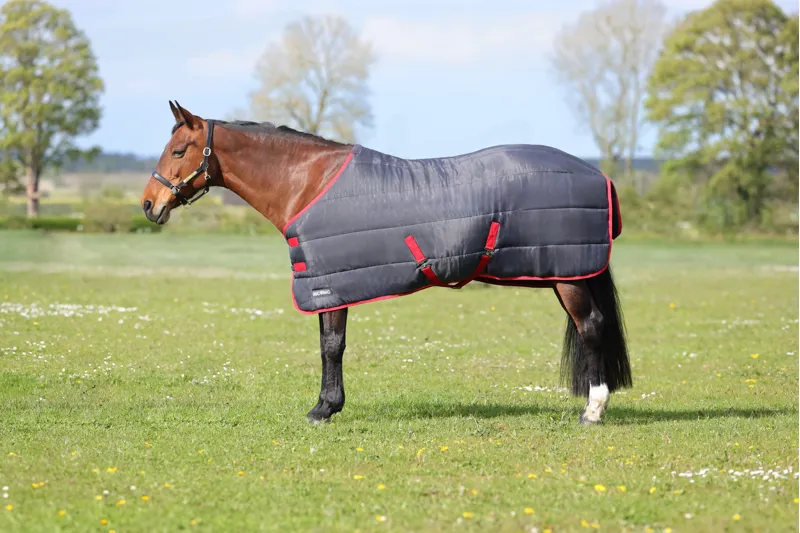 HyEquestrian HyConic 250g Stable Rug in Charcoal and Red