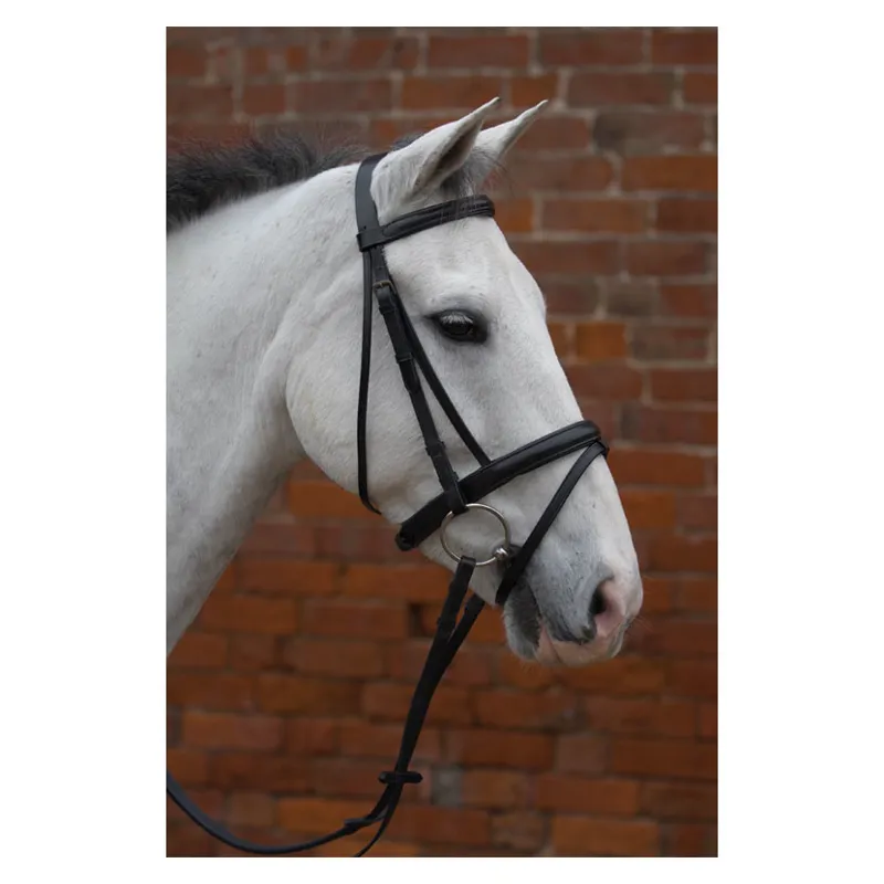Hy Equestrian Padded Flash Bridle with Rubber Grip Reins in Black-1