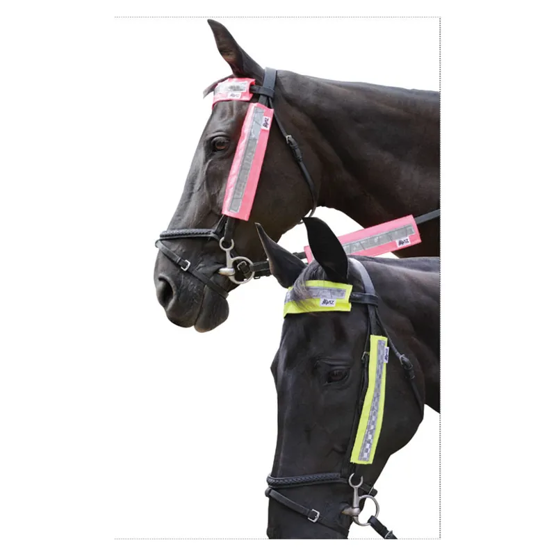 Hy Viz Bridle Set