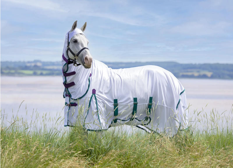 Shires Highlander Plus Fly Sheet Combo in White-1
