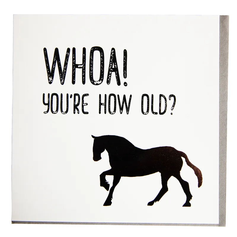 Gubblecote Greetings Card - Whoa Youre How Old
